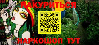 амф Кингисепп