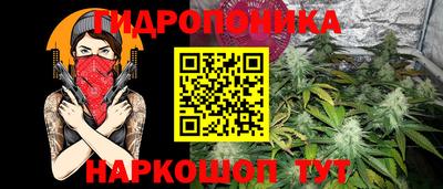 амф Кингисепп