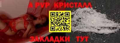 амф Кингисепп