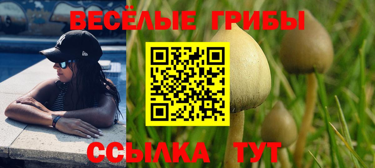 Галлюциногенные грибы мухоморы  Вход с VPN  Киров  цена наркотик  Псилоцибиновые грибы прущие грибы 