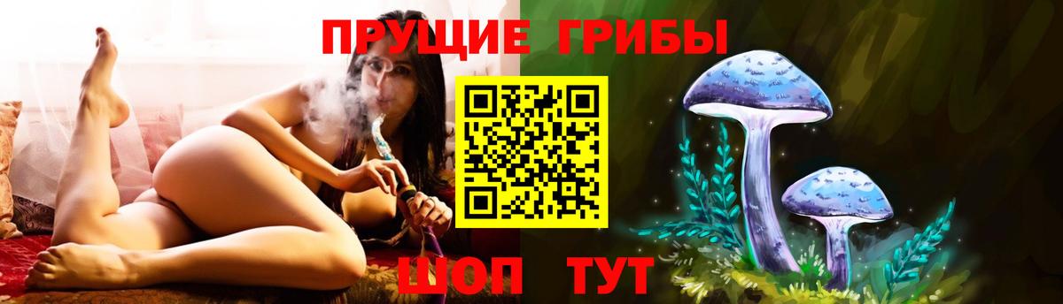 Галлюциногенные грибы GOLDEN TEACHER Киров